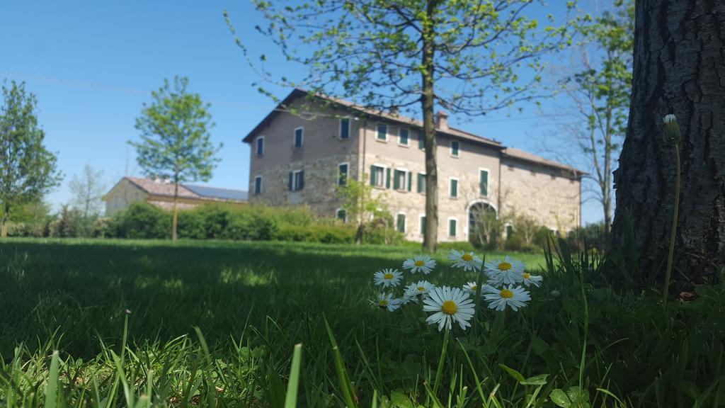 Agriturismo Il Brugnolo Scandiano Dış mekan fotoğraf