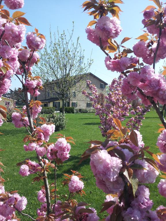 Agriturismo Il Brugnolo Scandiano Dış mekan fotoğraf