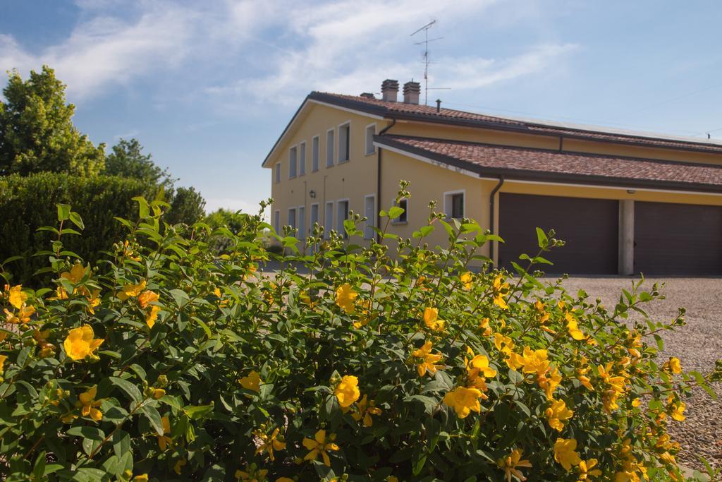 Agriturismo Il Brugnolo Scandiano Dış mekan fotoğraf