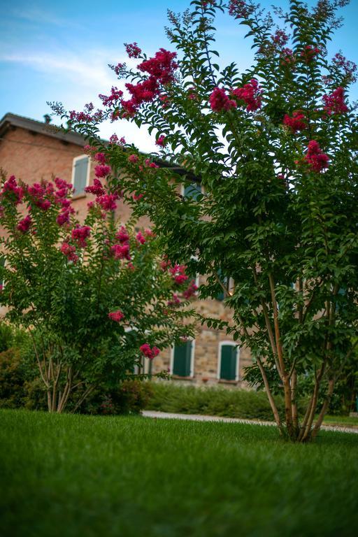 Agriturismo Il Brugnolo Scandiano Dış mekan fotoğraf