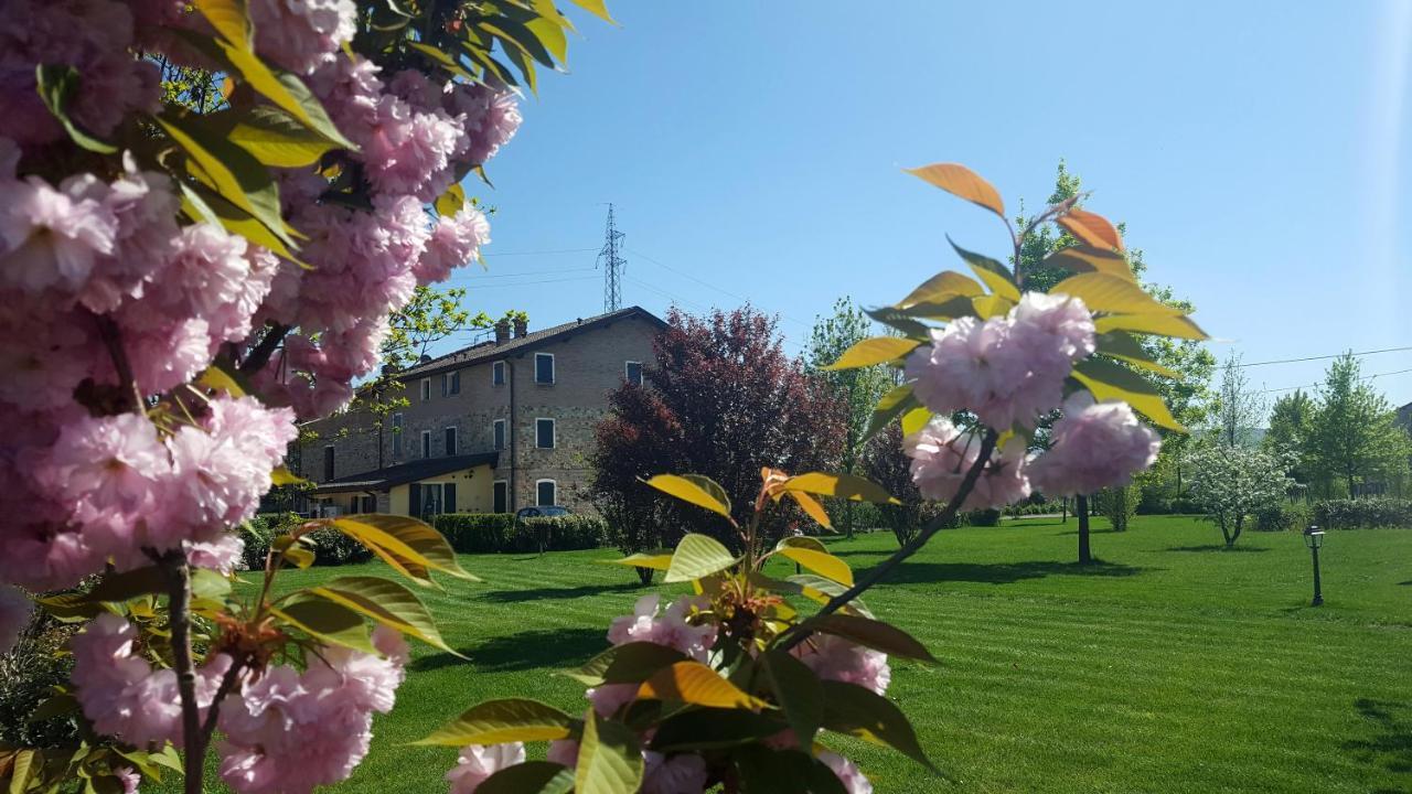 Agriturismo Il Brugnolo Scandiano Dış mekan fotoğraf